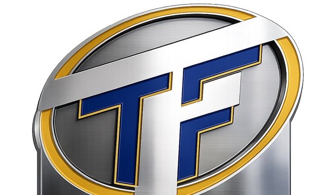 Team Wellness logo